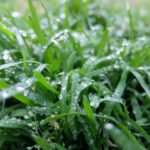 じめじめする梅雨の影響