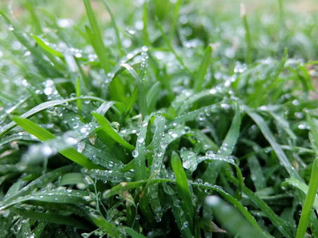 じめじめする梅雨の影響